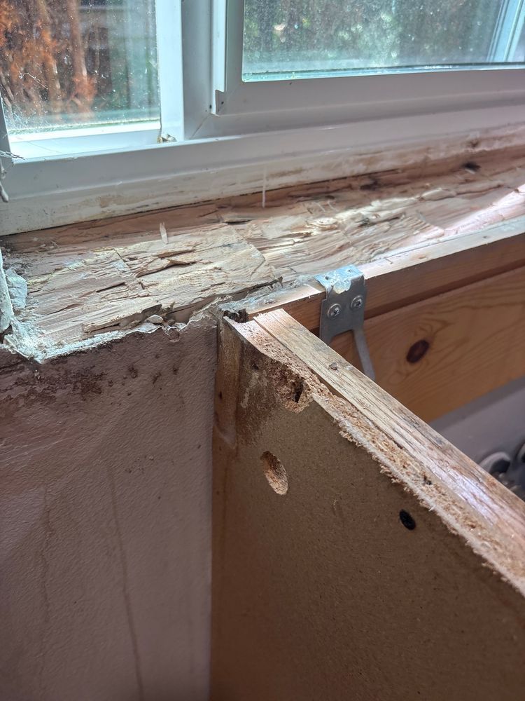 Hidden Damage — kitchen water damage restoration in Lynnwood, WA