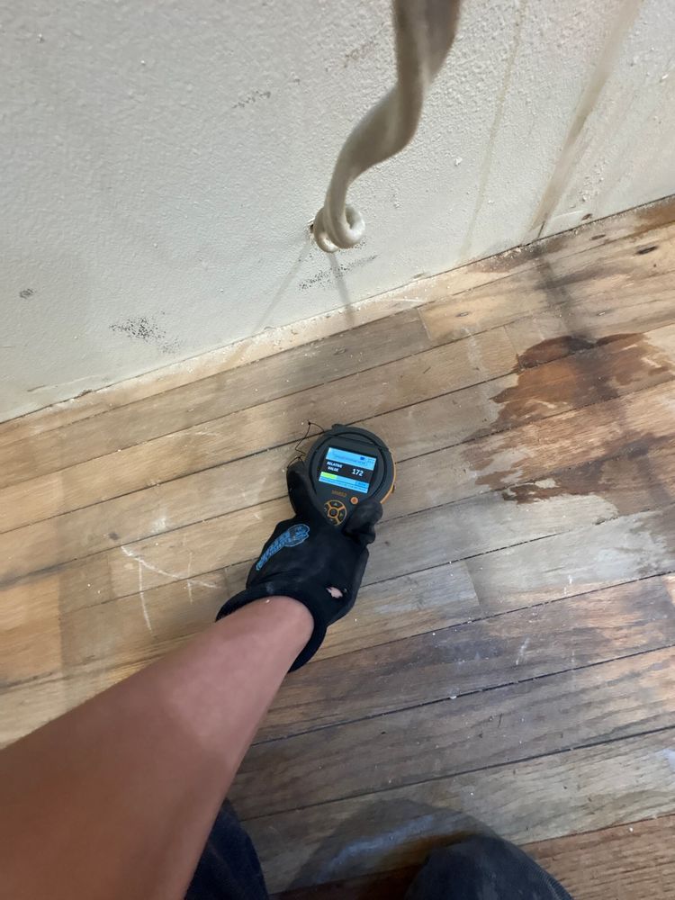 Moisture Mapping — kitchen water damage restoration in Lynnwood, WA