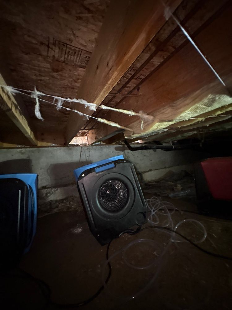 Crawlspace Drying — kitchen water damage restoration in Lynnwood, WA
